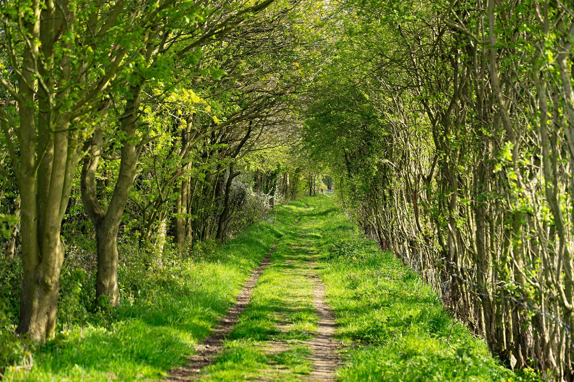 Macclesfield attractions